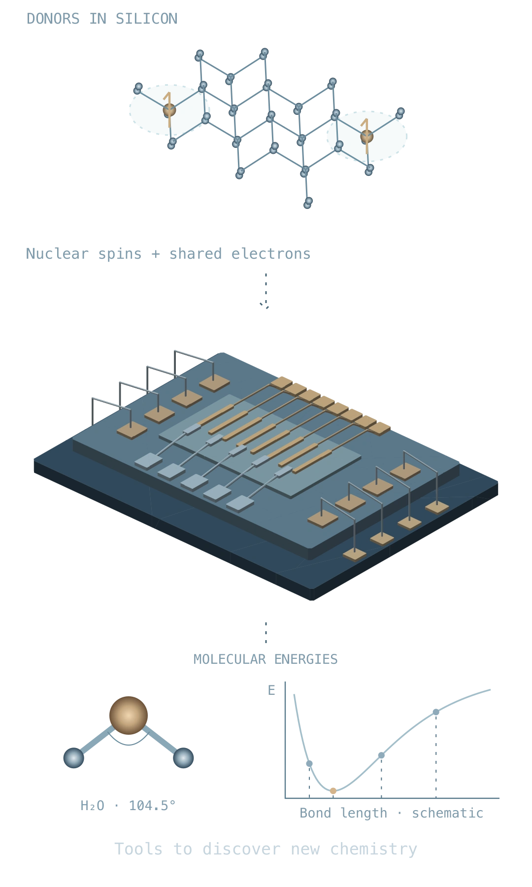 Selected phosphorus donors in an ideal silicon lattice, a conceptual chip with gates, contacts and readout leads, then a water molecule and qualitative bond-length energy scan. The molecular-simulation application is a future ambition, not a demonstrated advantage of the cited processor.
